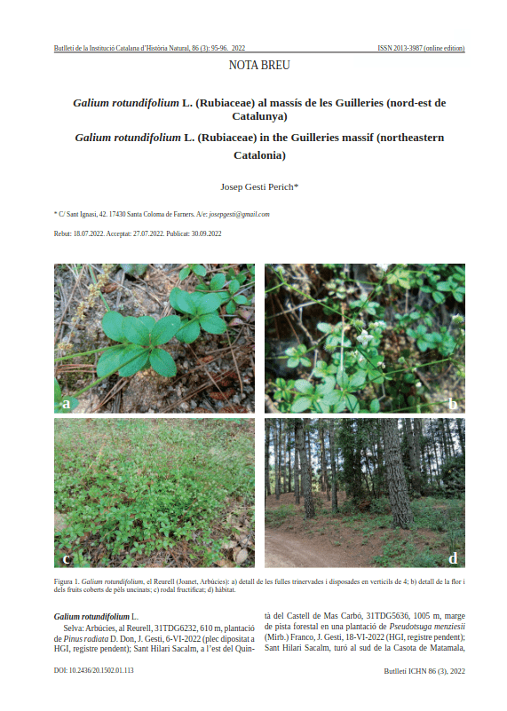 Portada_Galium_rotundifolium_BICHN