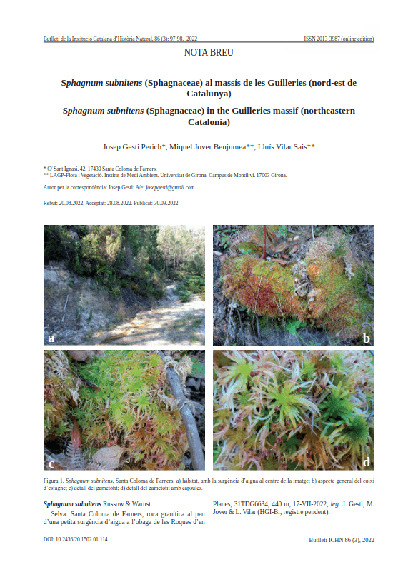 Portada_Sphagnum_subnitens_BICHN